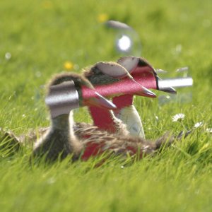 Beispiel für den Ebenenmodus Nur Aufhellen